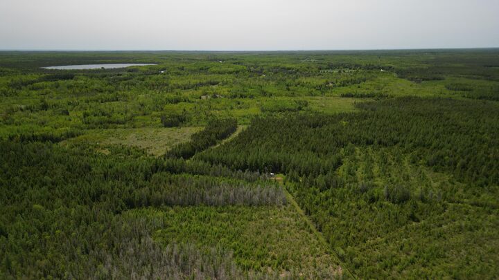 Property Photo:  609absec19t43nr13ws1/2ofse1/4  MI 49840 