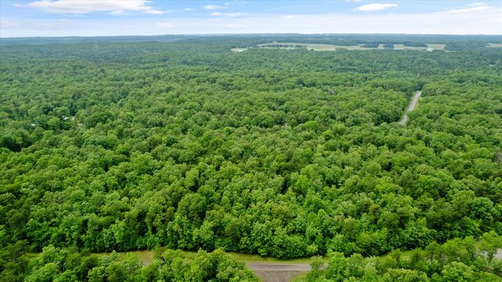 Property Photo:  0 Mountain Ash Dr  TN 38574 