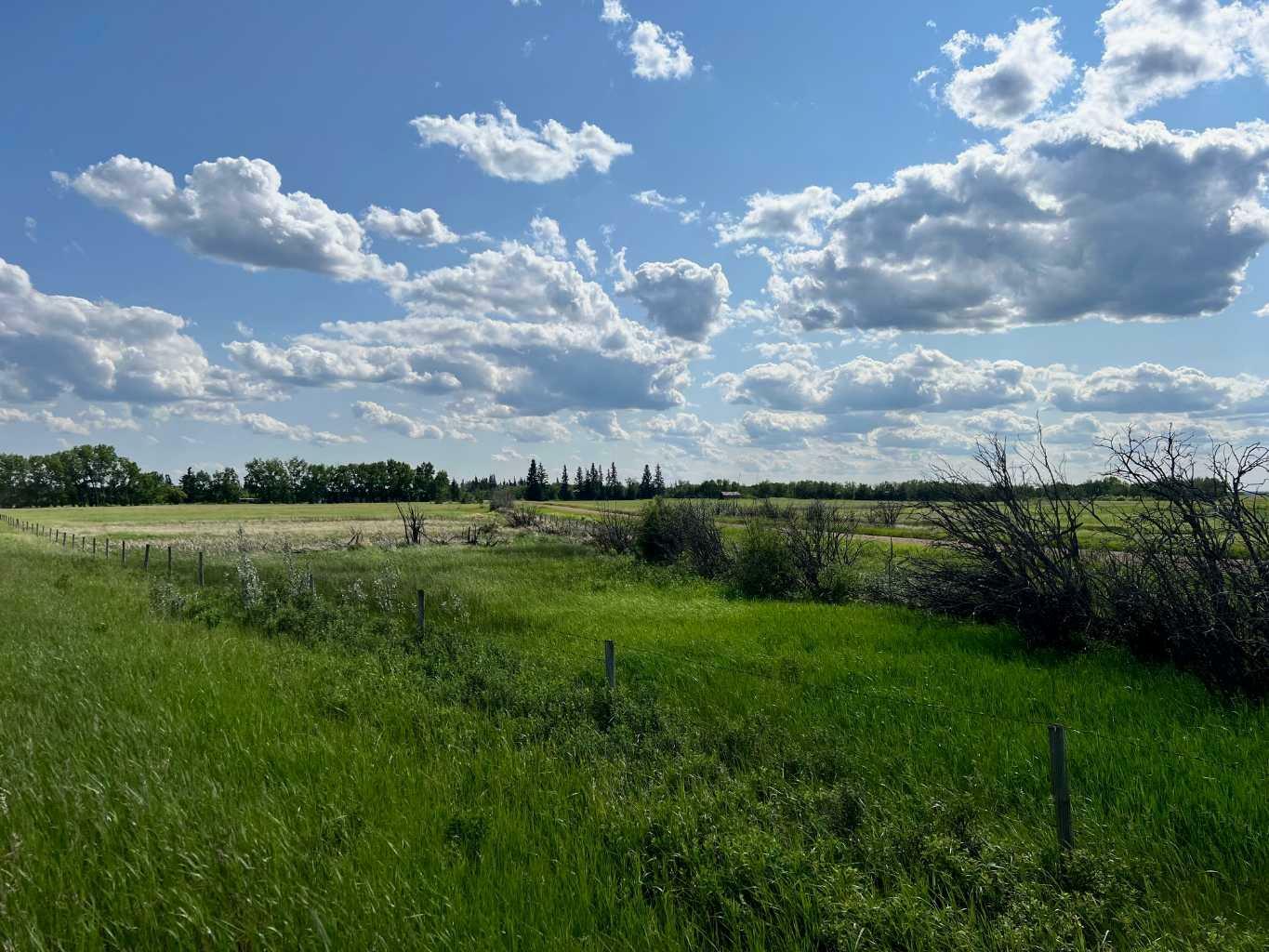 Property Photo: NE-15-40-13 W4 AB T0B 0A0