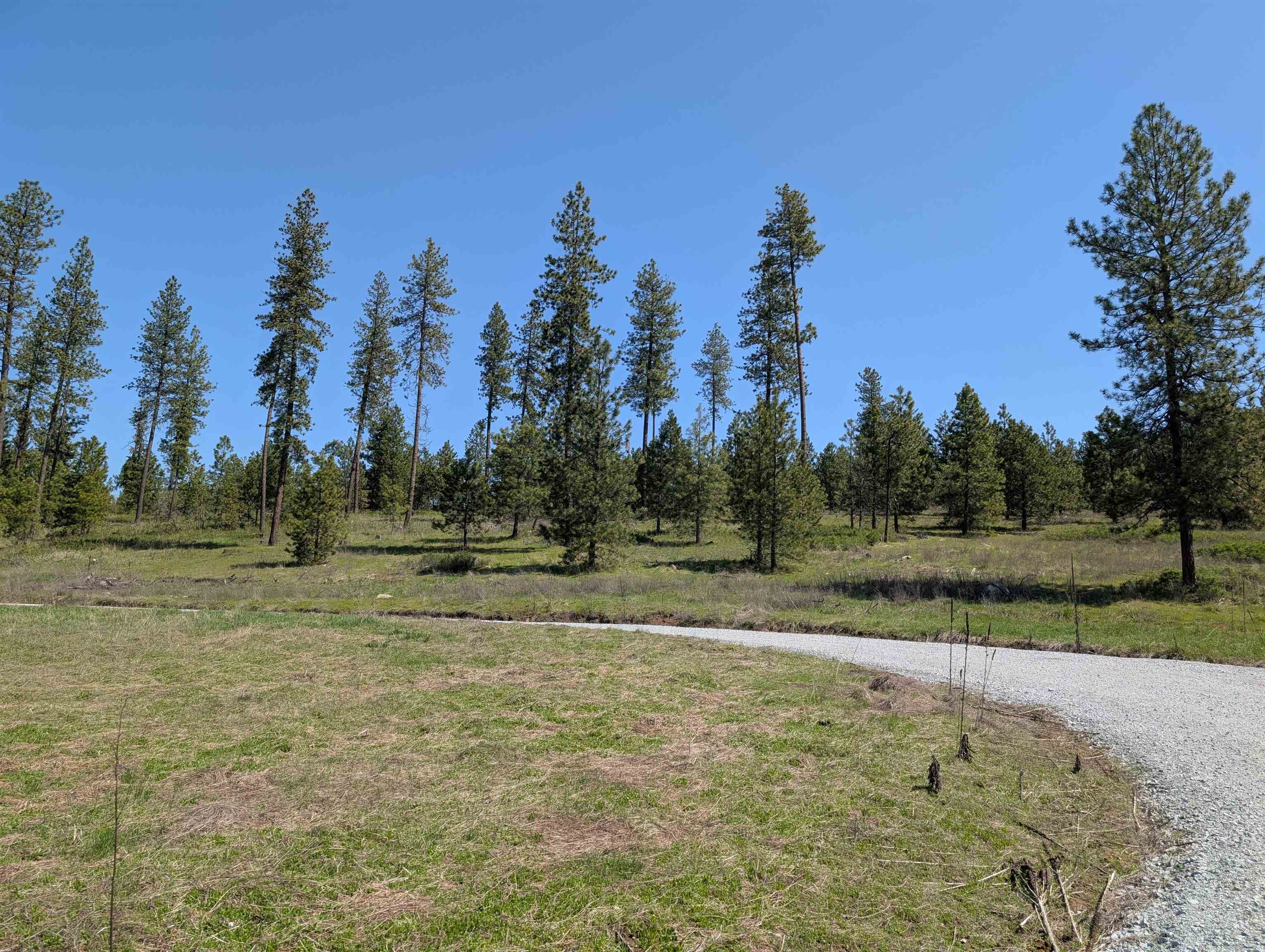 Property Photo: 400 Golden Sunset Way WA 99156
