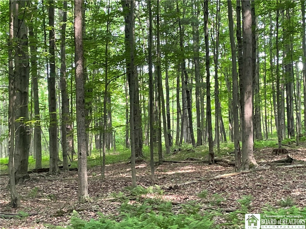 Property Photo: 1479 Orr St. Extension NY 14701