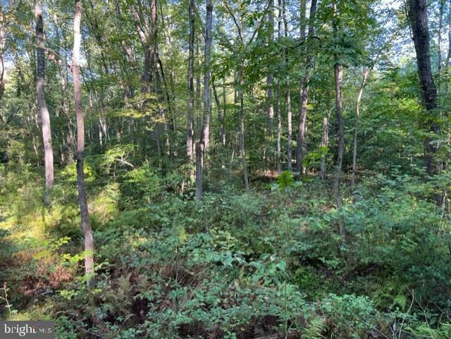 Property Photo: Chilesburg Road VA 23015