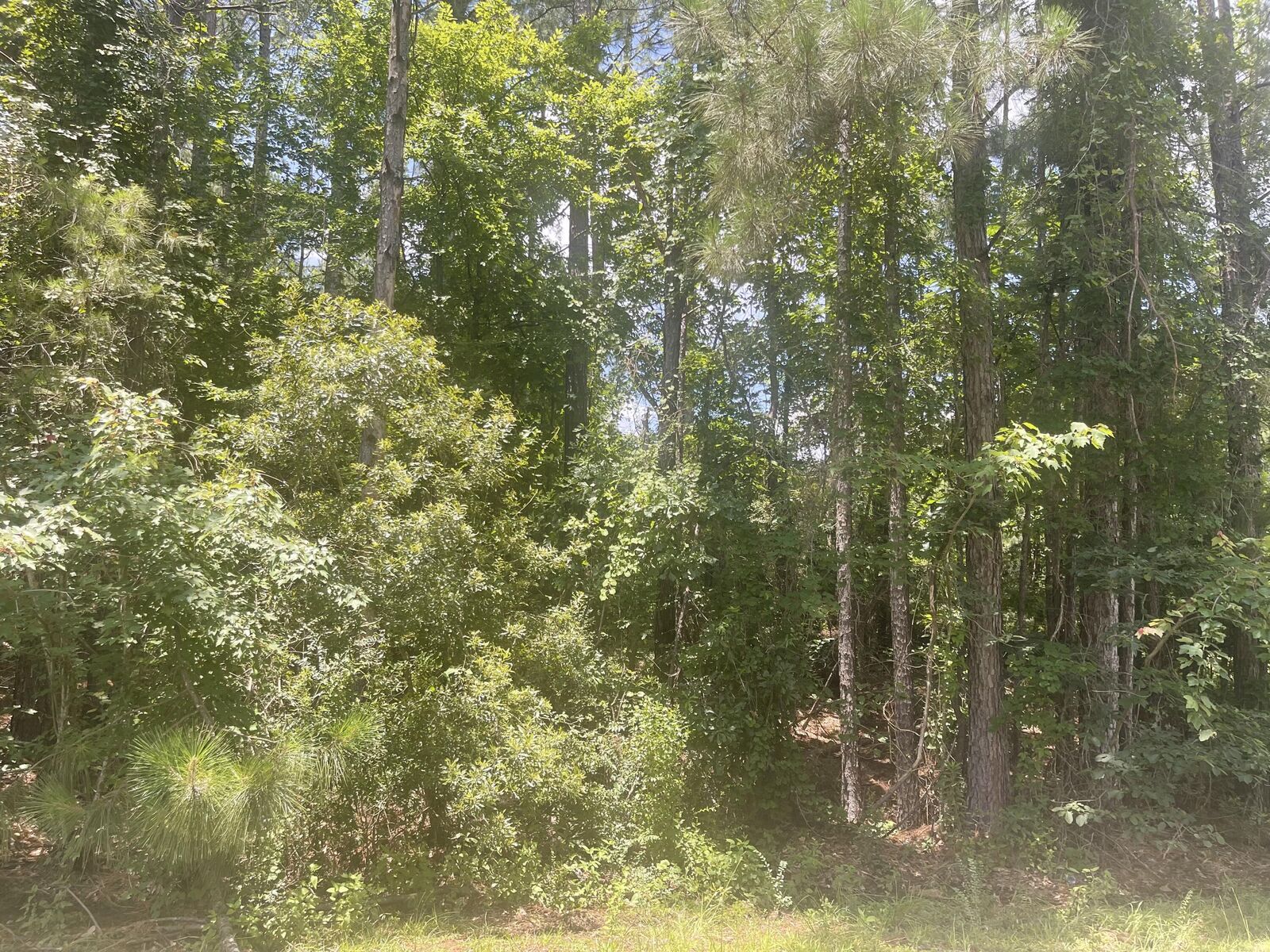 Property Photo:  Lot 10 Courtland Dr.  MS 39402 