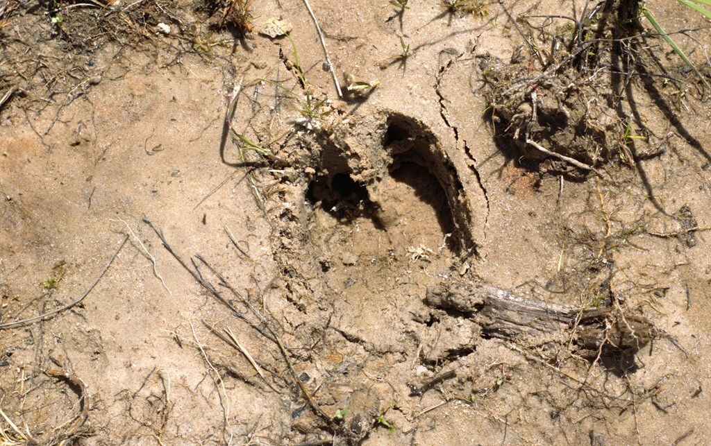 Property Photo:  Pid 816 County Road 837  TX 75964 