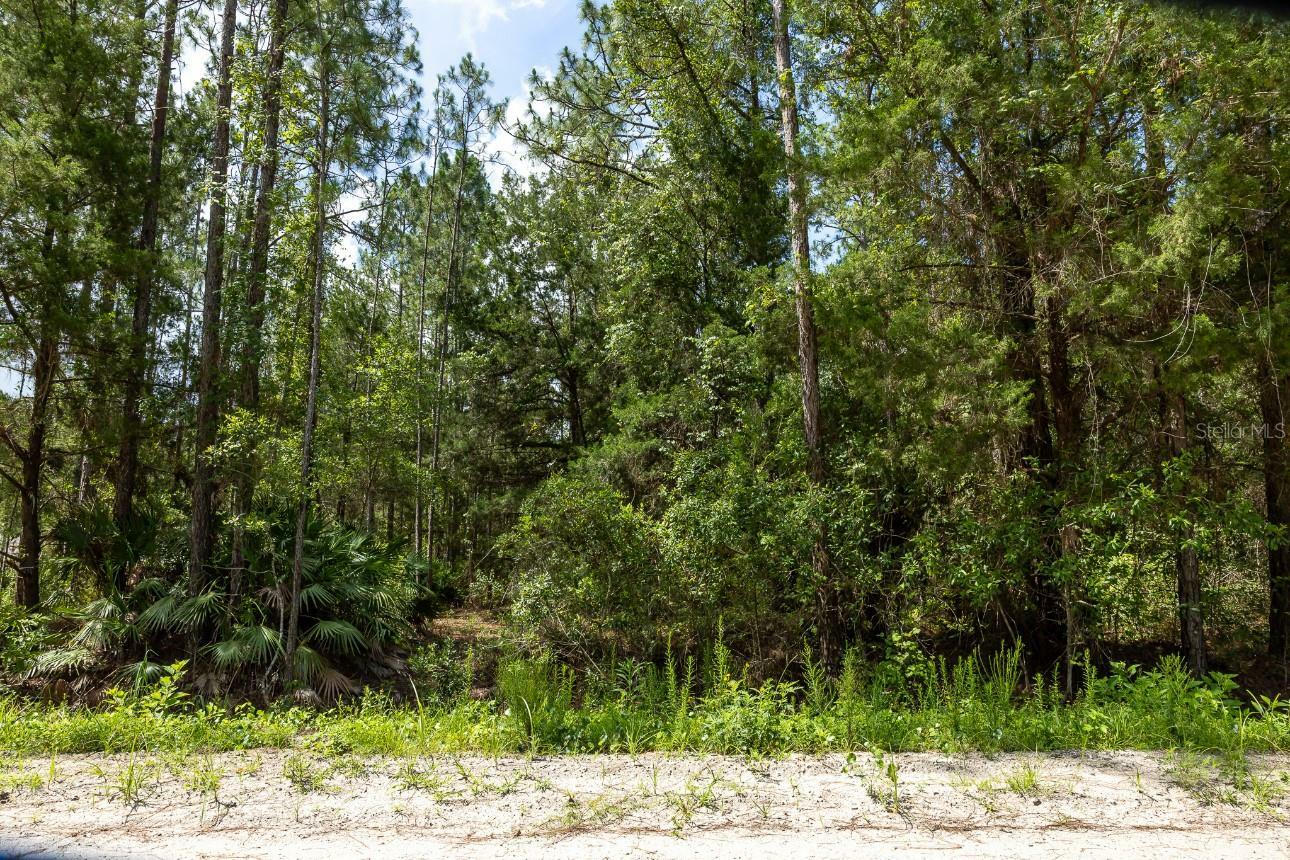 Property Photo: 5661 Ironwood Avenue FL 32110