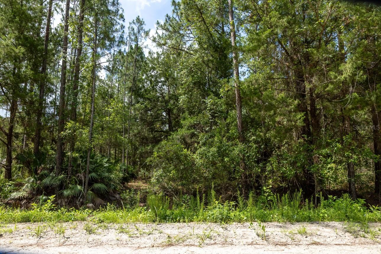 Property Photo: 5661 Ironwood Avenue FL 32110