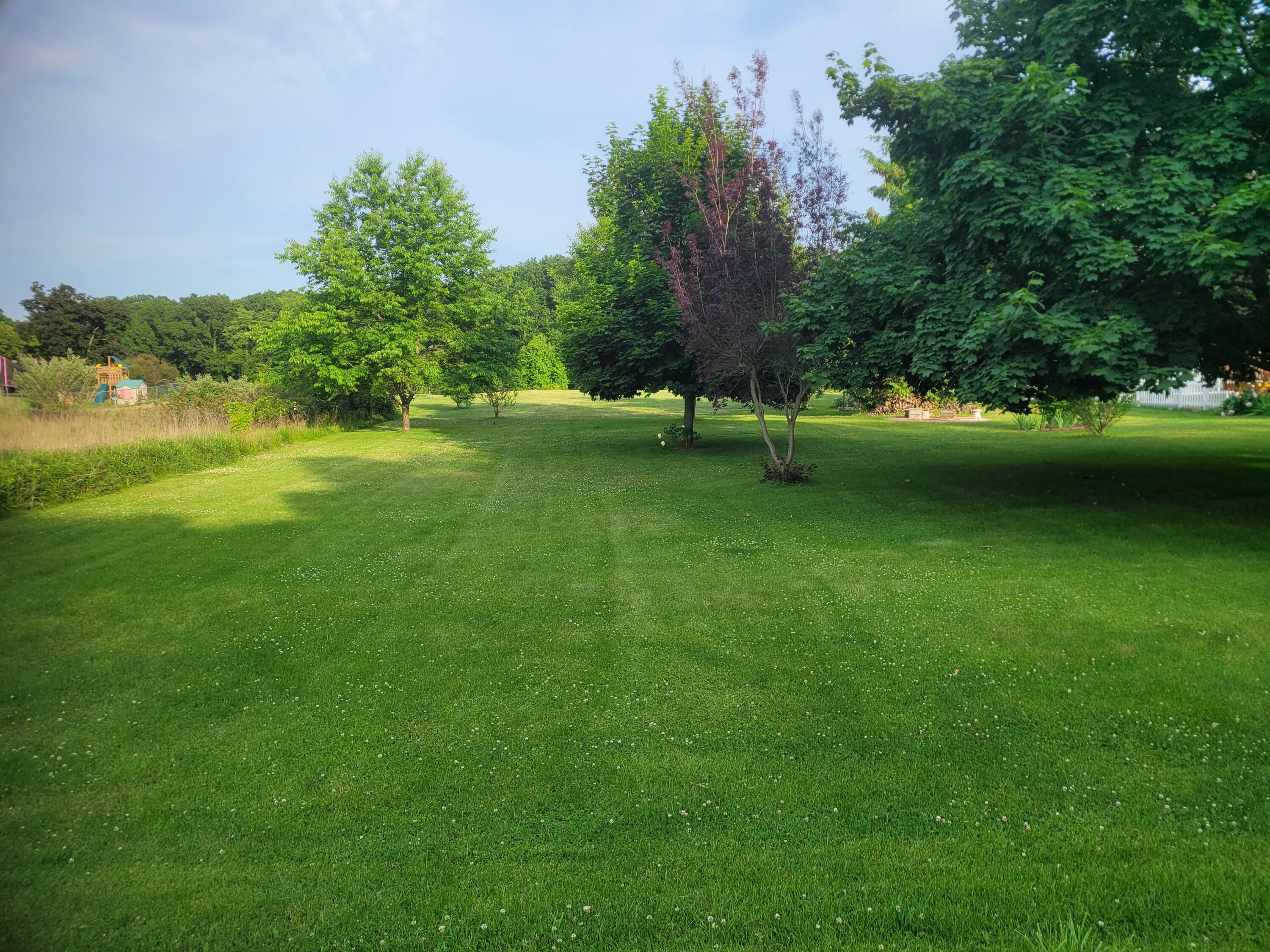 Property Photo:  10041 Brooklawn Court  MI 49249 