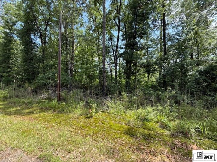Property Photo: 0 &Amp 0 Masonic Road LA 71241