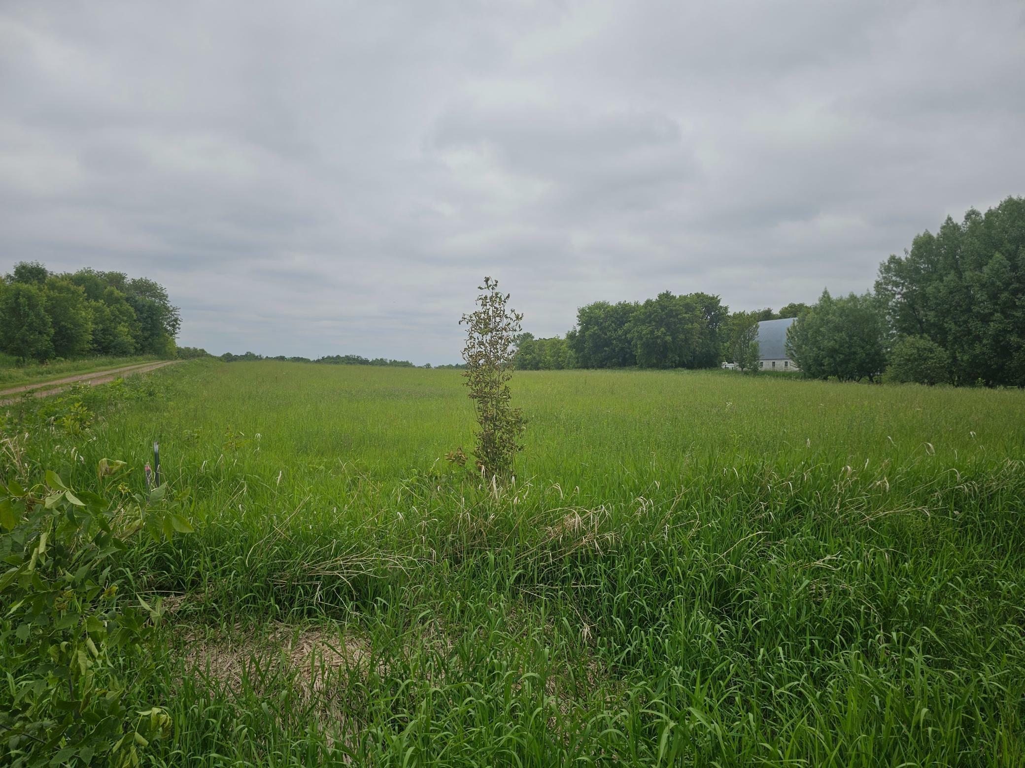Property Photo: 42xx 405th Avenue MN 55080