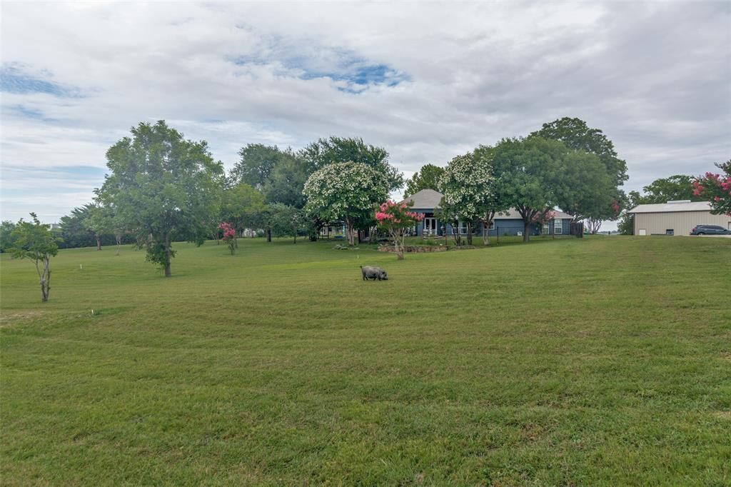 Property Photo: