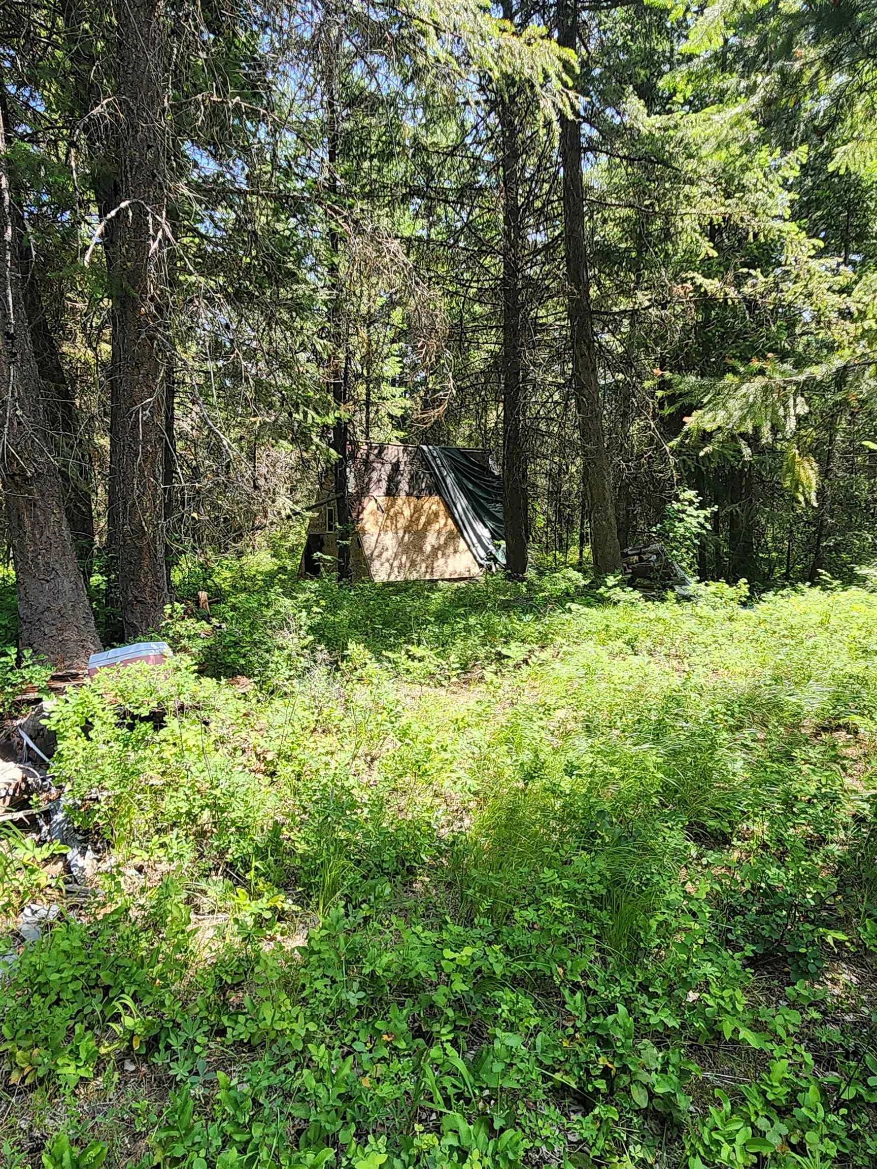 Property Photo: 4711 X Springdale Hunters Rd WA 99173
