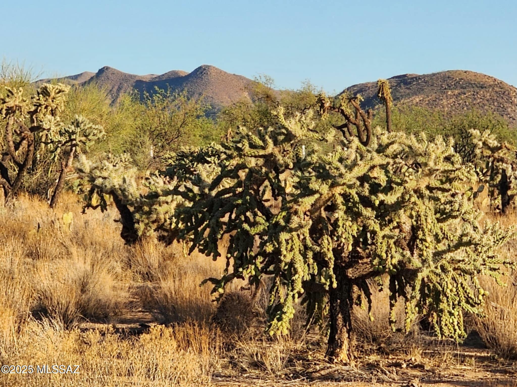 Property Photo: 15035 S Muldoon Avenue 115 AZ 85736