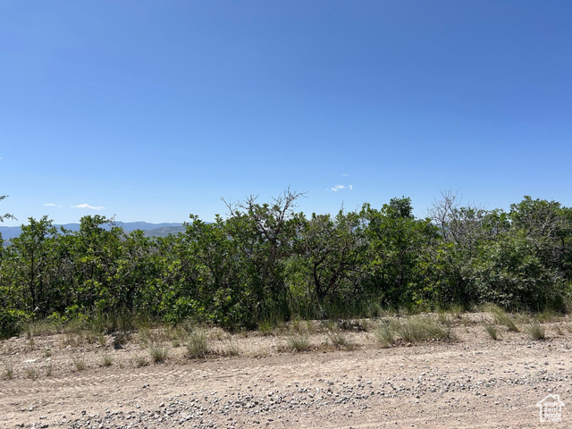 Property Photo: 6 Pine Nut Way 6 UT 84647