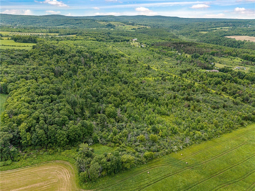 Property Photo: 2868 Townsend Road NY 14891