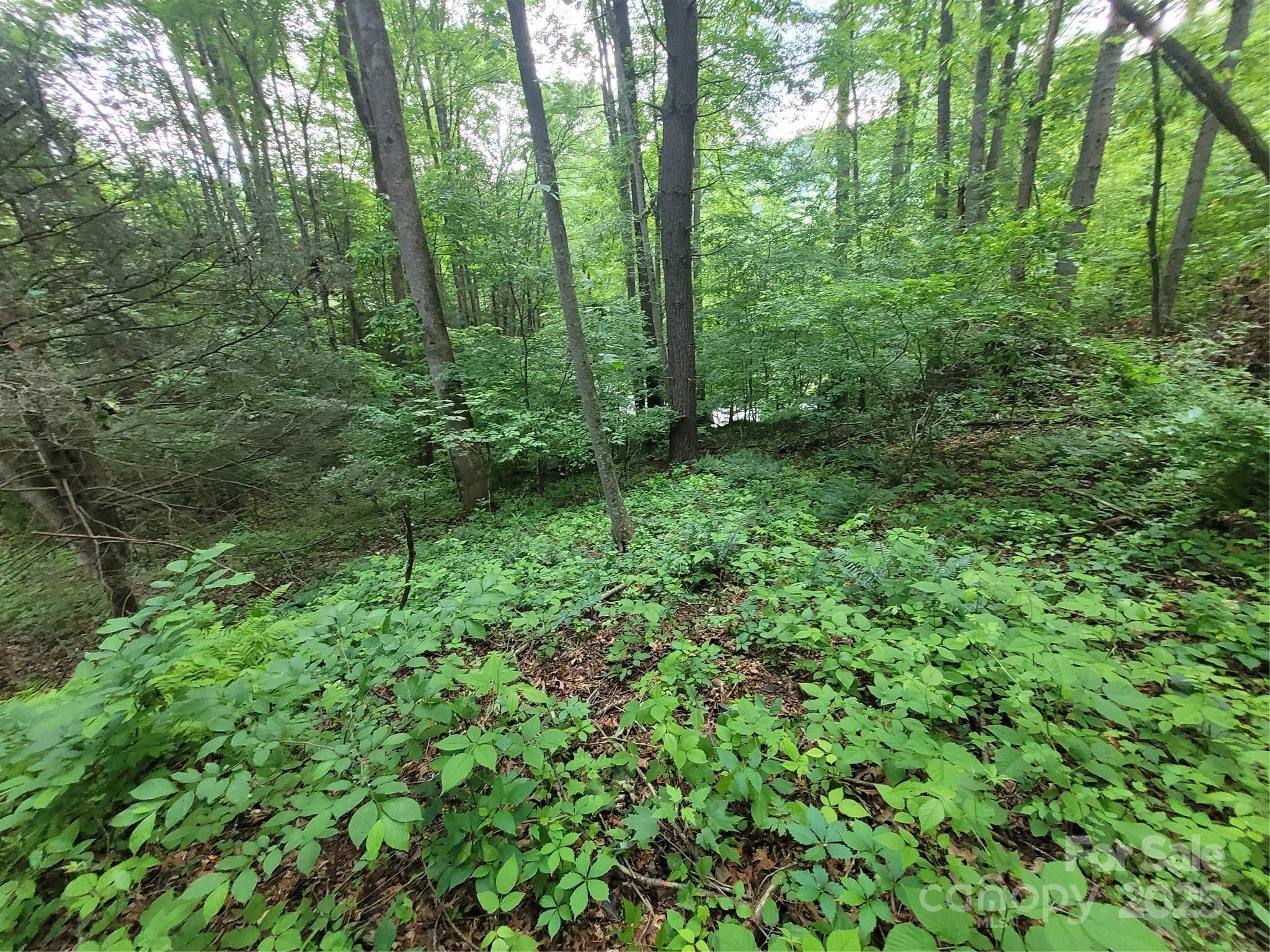 Property Photo: 00 Serendipity Lane 111 NC 28785