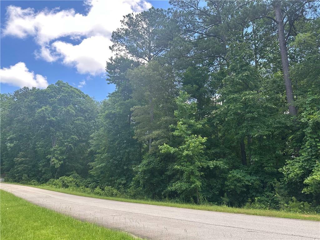Property Photo: 0 Elsberry Mountain Road GA 30132