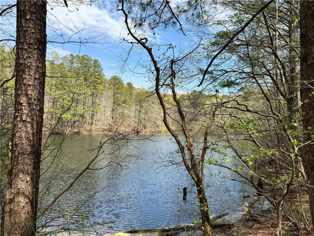 Property Photo: 3 Meadowlands GA 30175