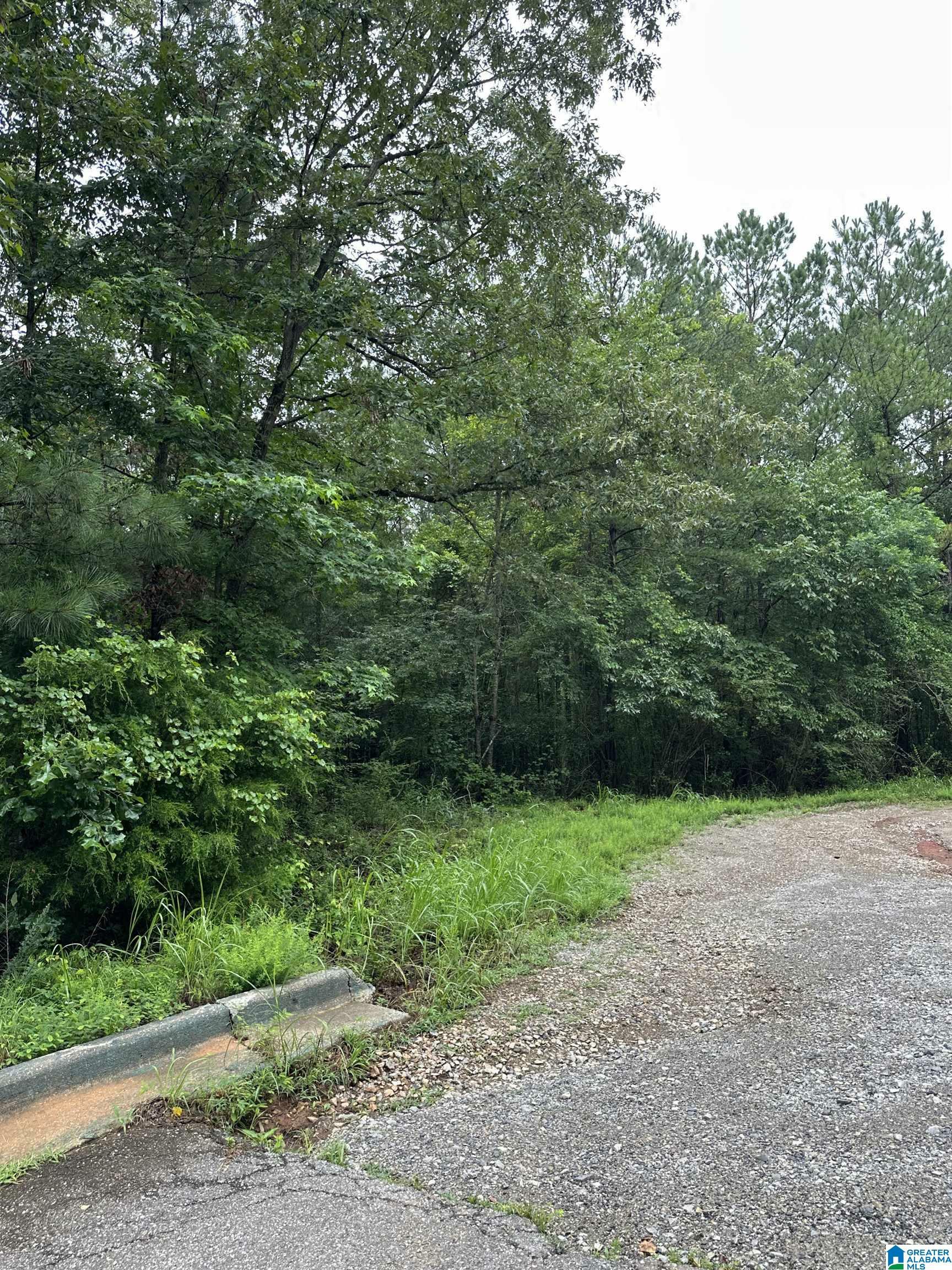 Property Photo: 0 Stonegate Circle None AL 35096