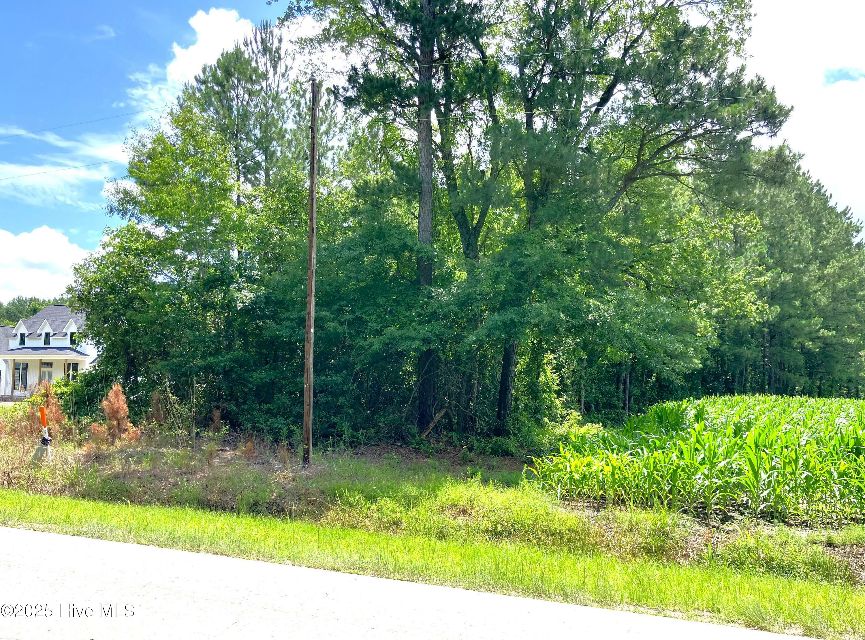 Property Photo: 294 Springhill Road NC 28555