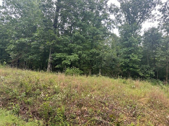 Property Photo:  McGaugh Drive  AR 72715 