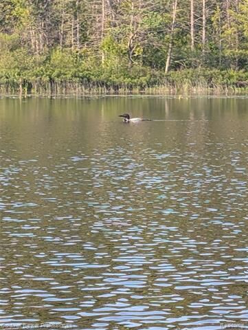 Property Photo: Lot 5 Southwood Drive MI 49659