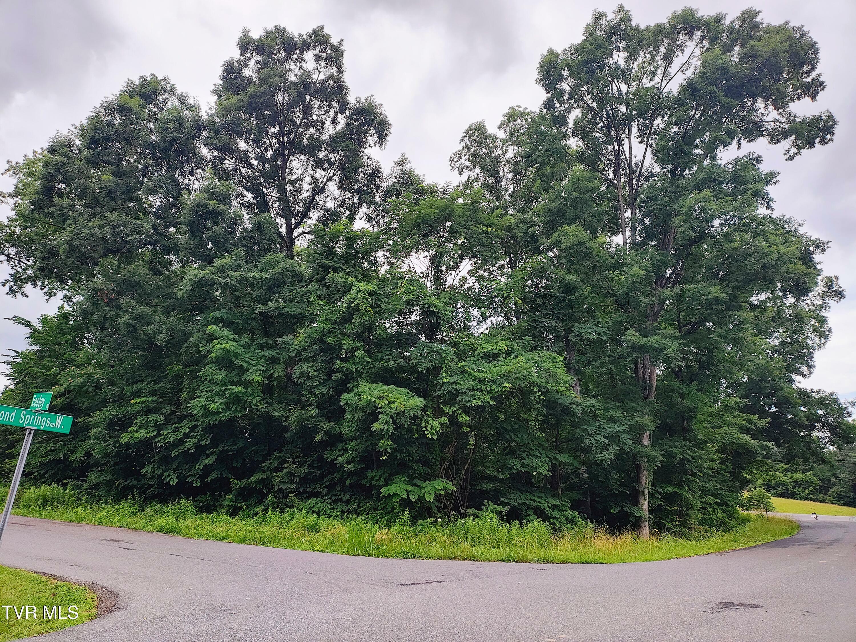 Property Photo: Lot 16 Easley Drive TN 37664