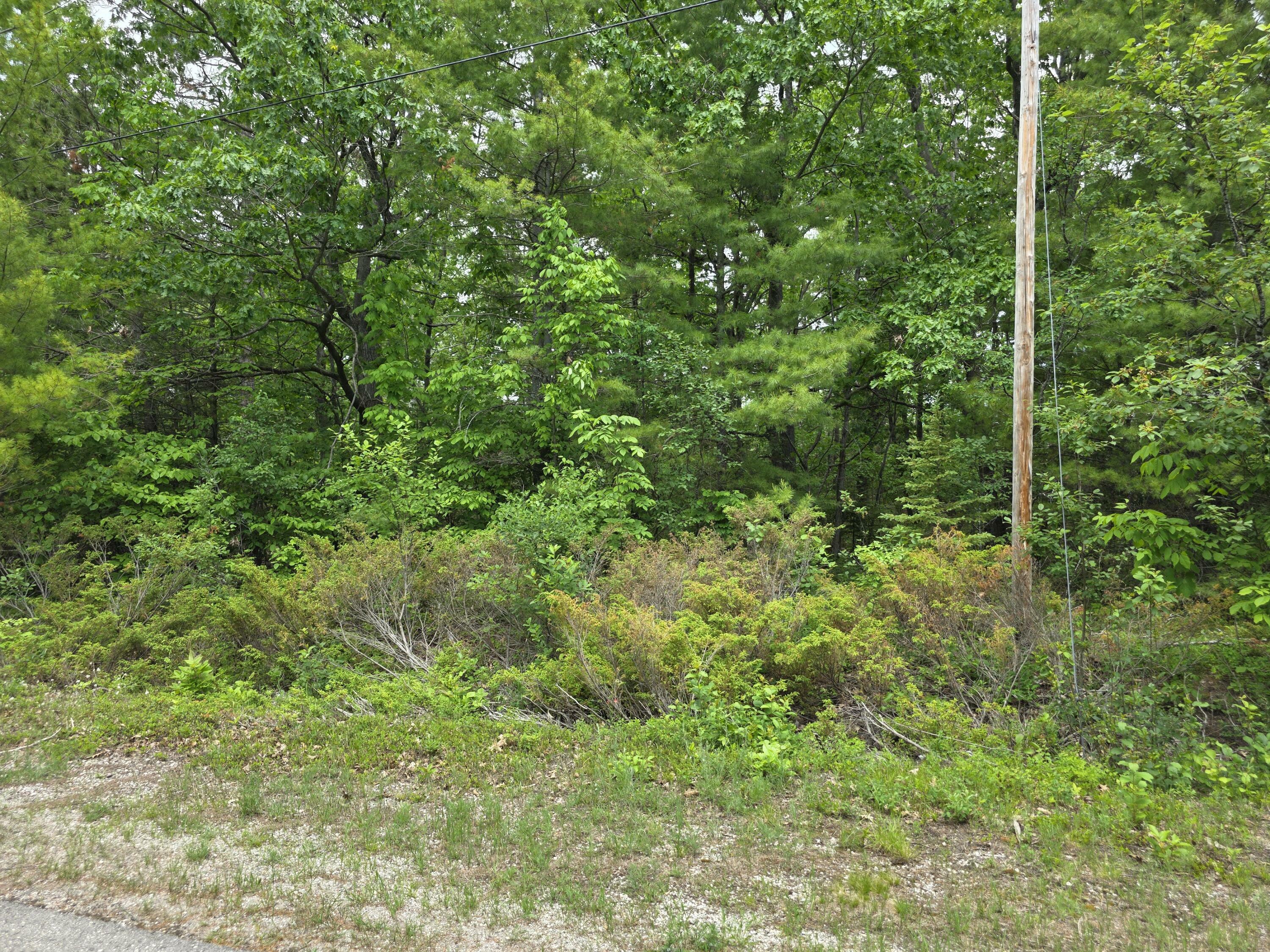 Property Photo: Balsam Circle MI 49777