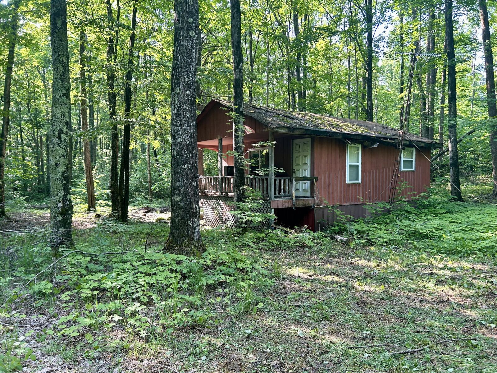 Property Photo:  4983 Blackberry Lane  MI 49730 
