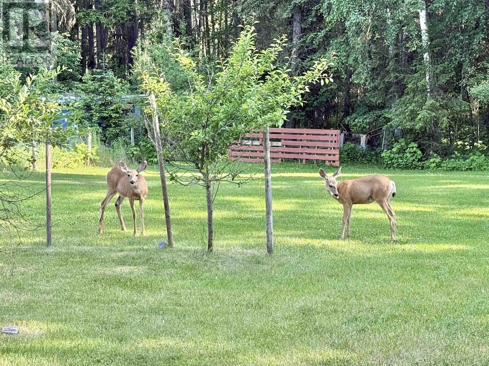 Photo de la propriété: 2401 Tanoka Road BC V2J 7B8