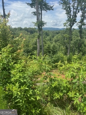 Property Photo: Lot 104 River Knoll Trail GA 30540