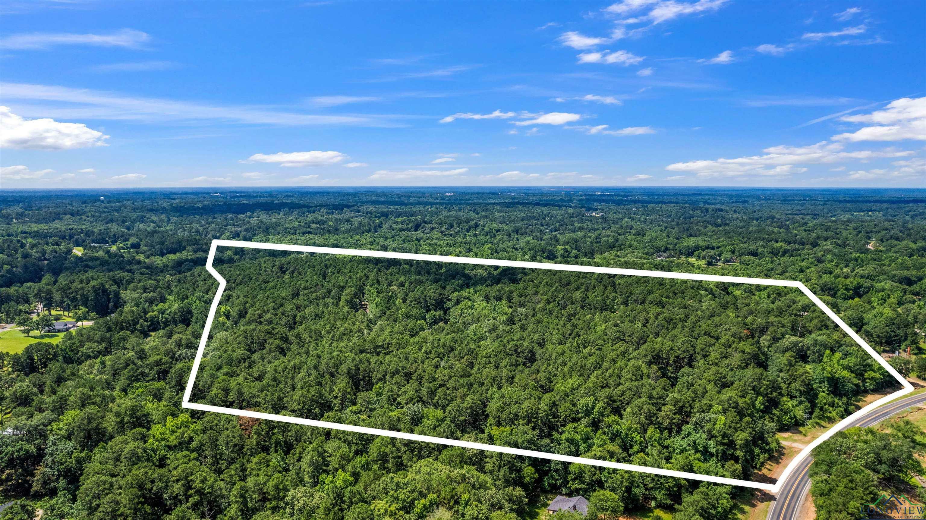 Property Photo: Tbd Fm 1845 George Richey And Pine Tree Road TX 75604