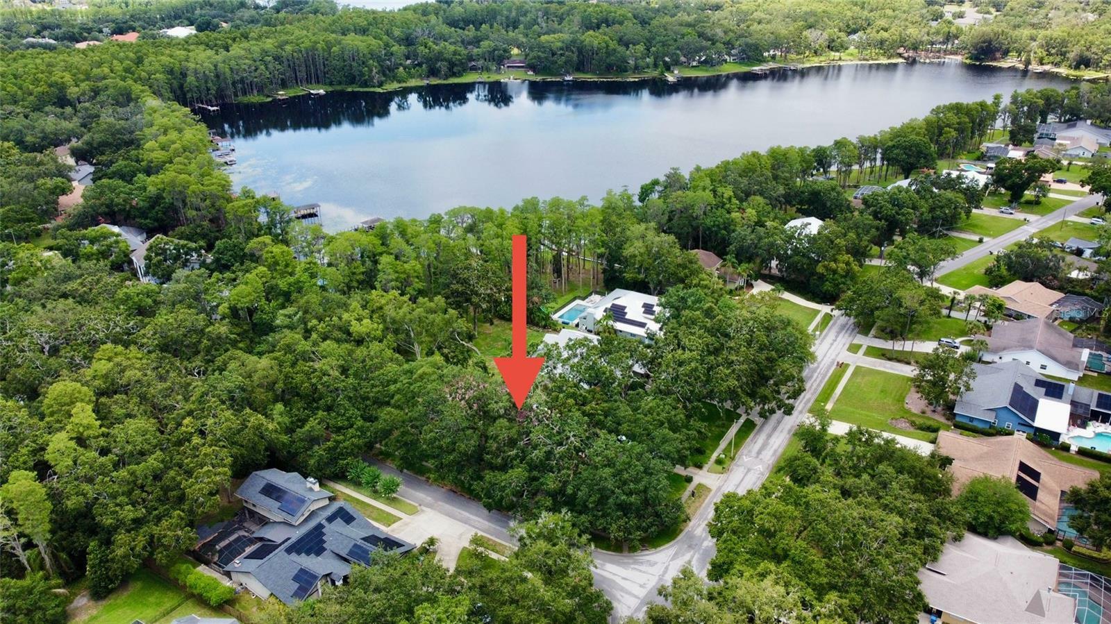 Property Photo: 16006 Armistead Lane FL 33556