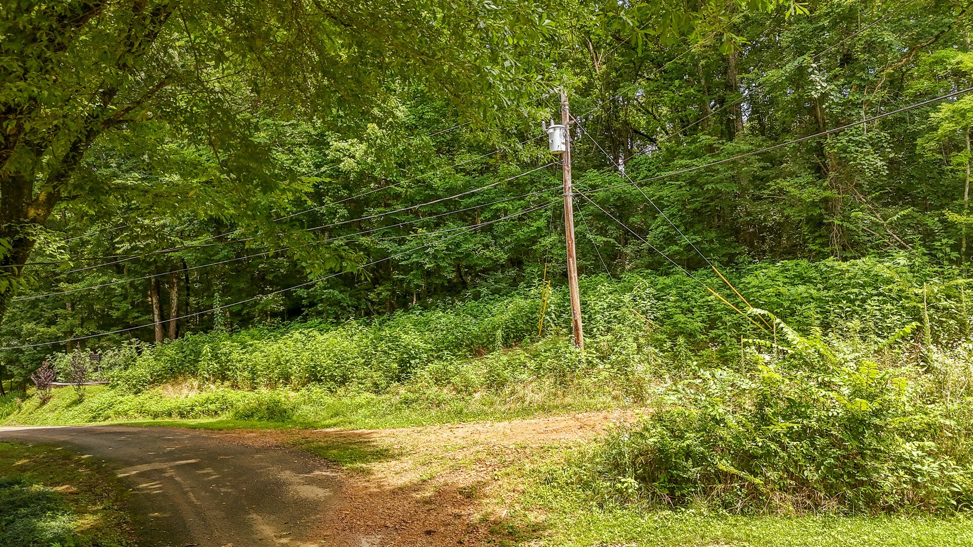 Property Photo: 0 Salt Ln TN 38372