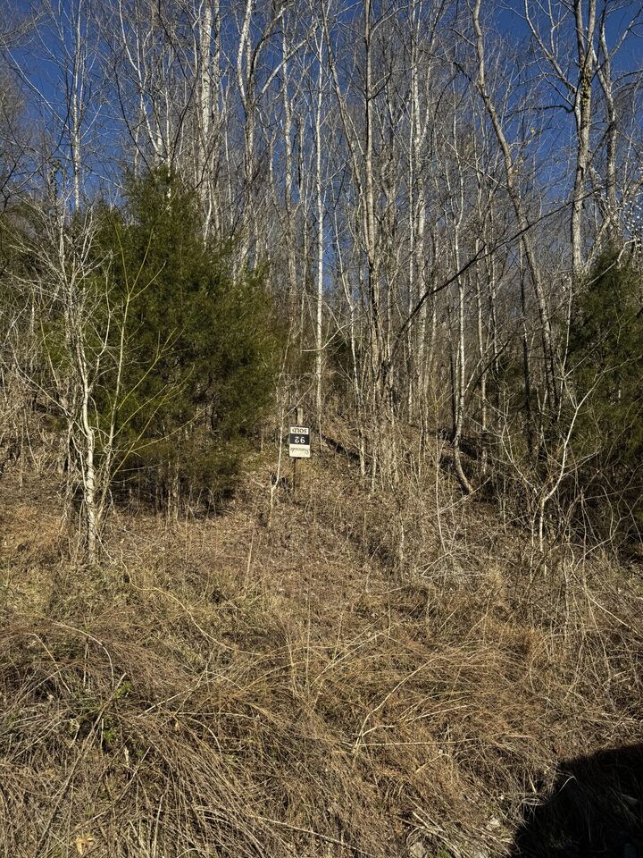 Property Photo:  92 Shoreside Dr  TN 37166 