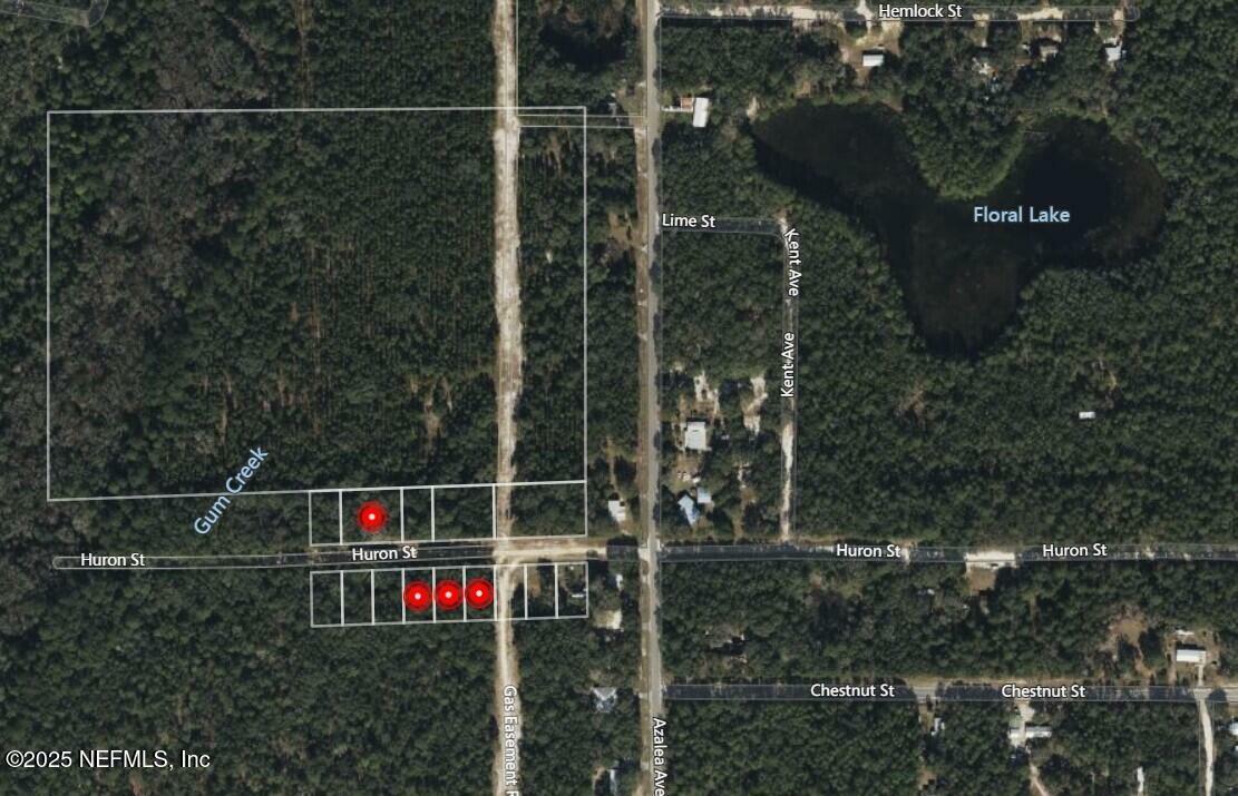 Property Photo: 0 Huron Street FL 32148
