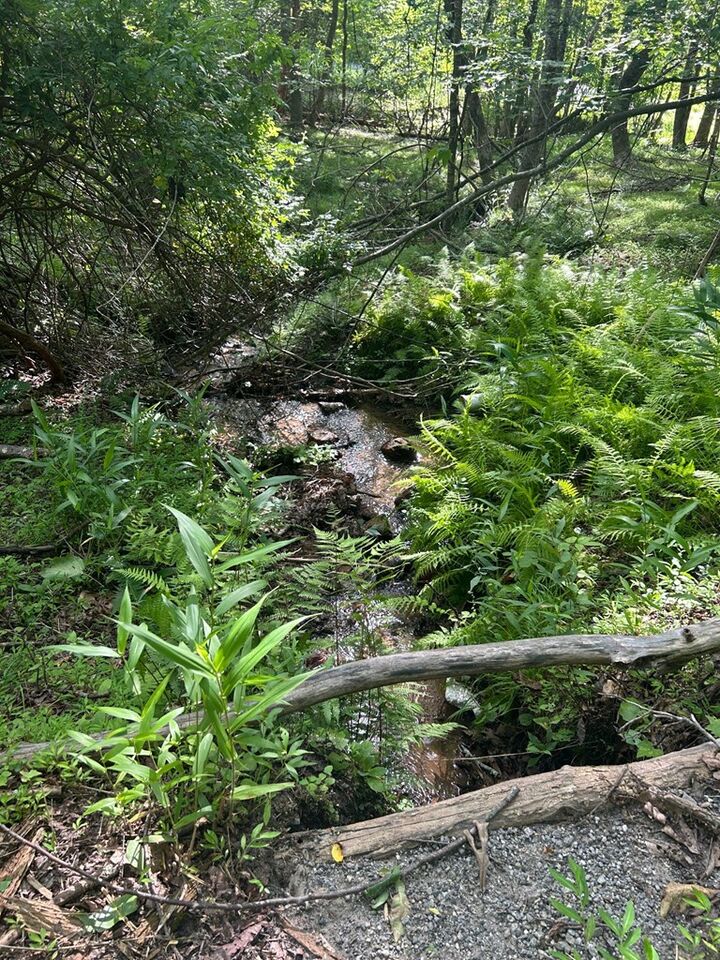 Property Photo:  0 E Two Pond Lane  NC 28904 