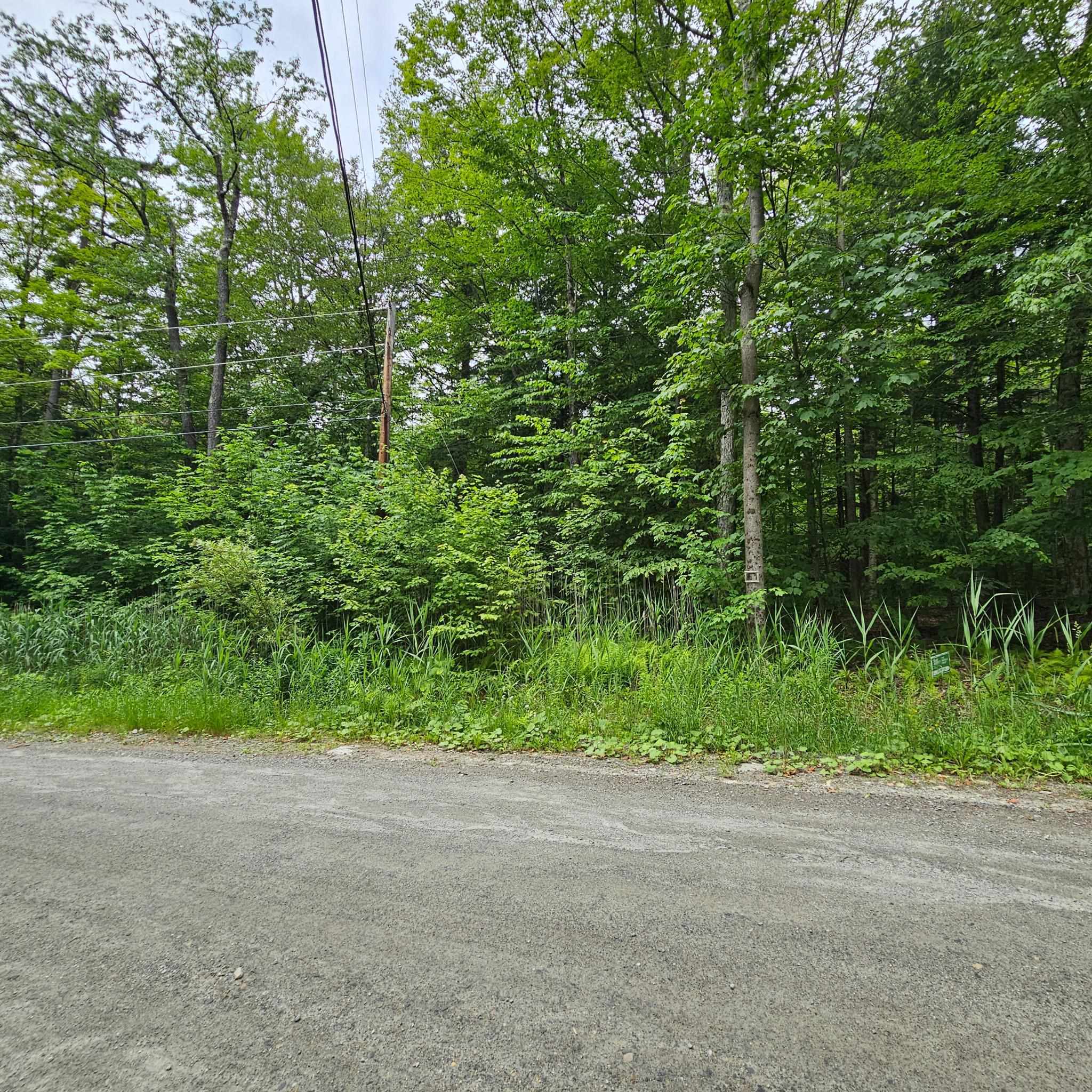 Property Photo: 00 Susan Lynn Lane VT 05355