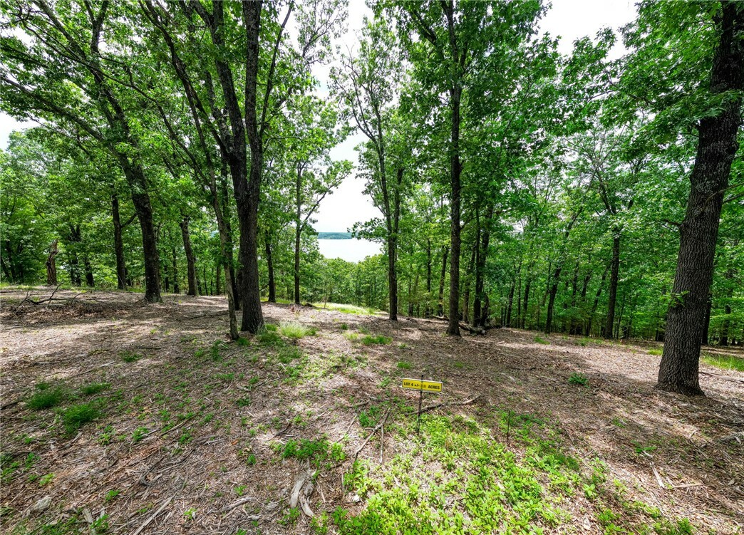 Property Photo: Tract 4 Cedar Rail Ridge Whispering Hills AR 72732