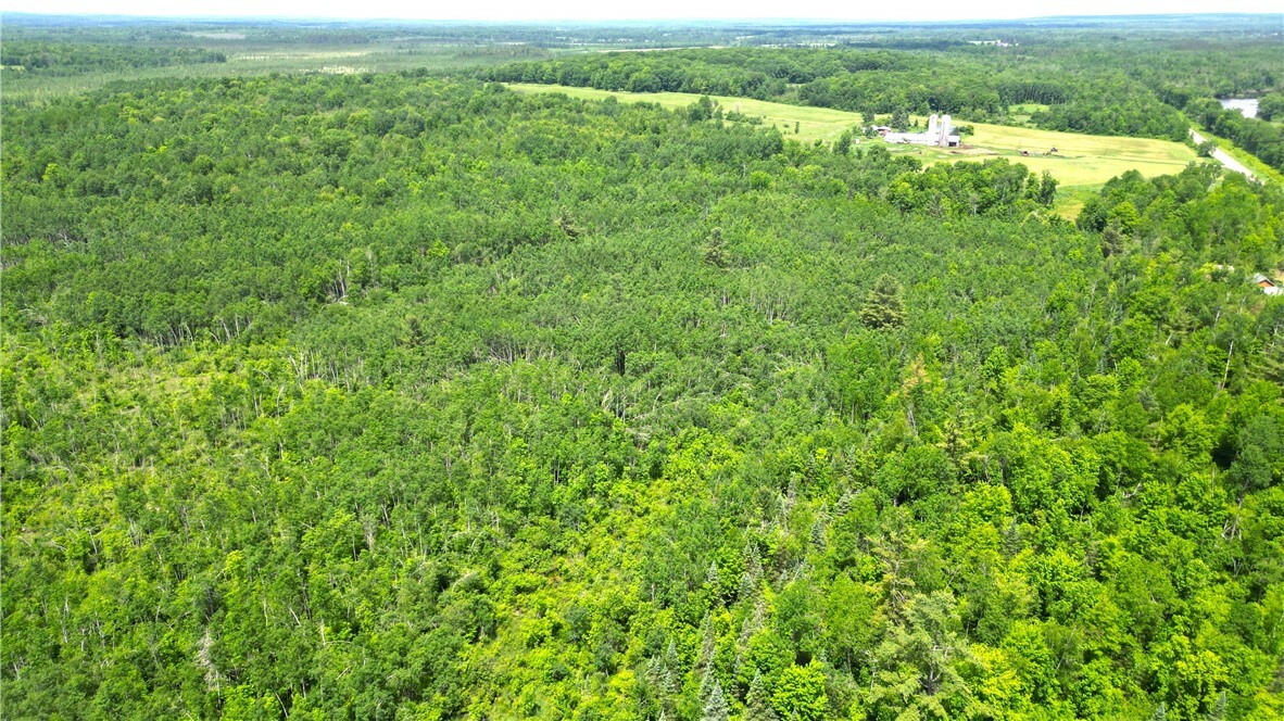 Property Photo:  80 Acres Off Of Hwy 40  WI 54867 