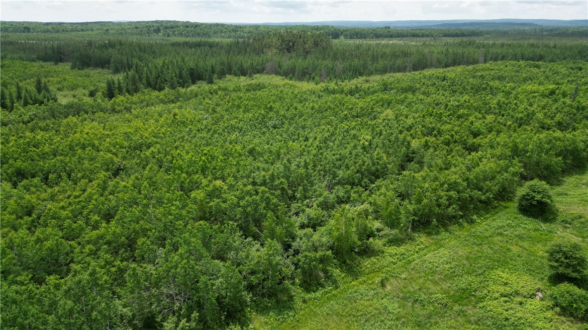 80 Acres Off Of Hwy 40  Radisson WI 54867 photo