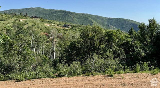 Property Photo:  218 Bear Tooth Ridge Rd W 26-A  UT 84017 