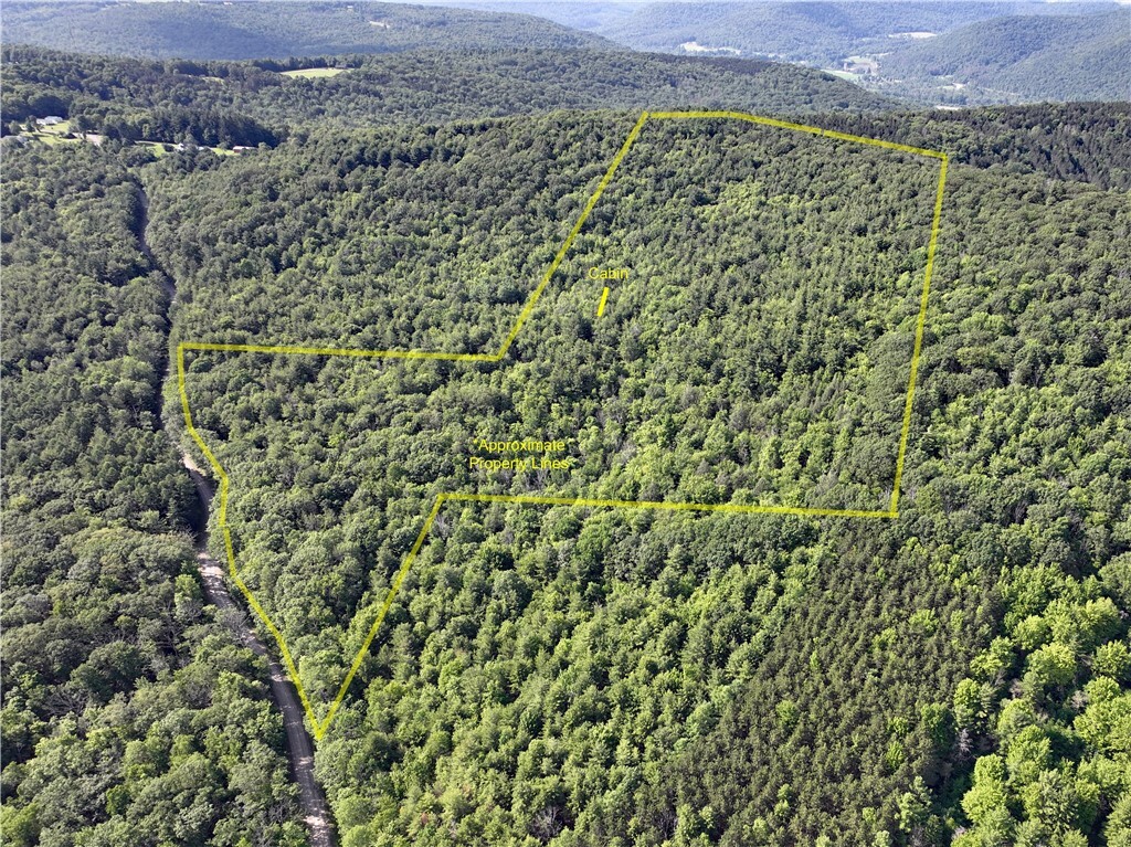 Property Photo: 0 Park Hill Road NY 14838