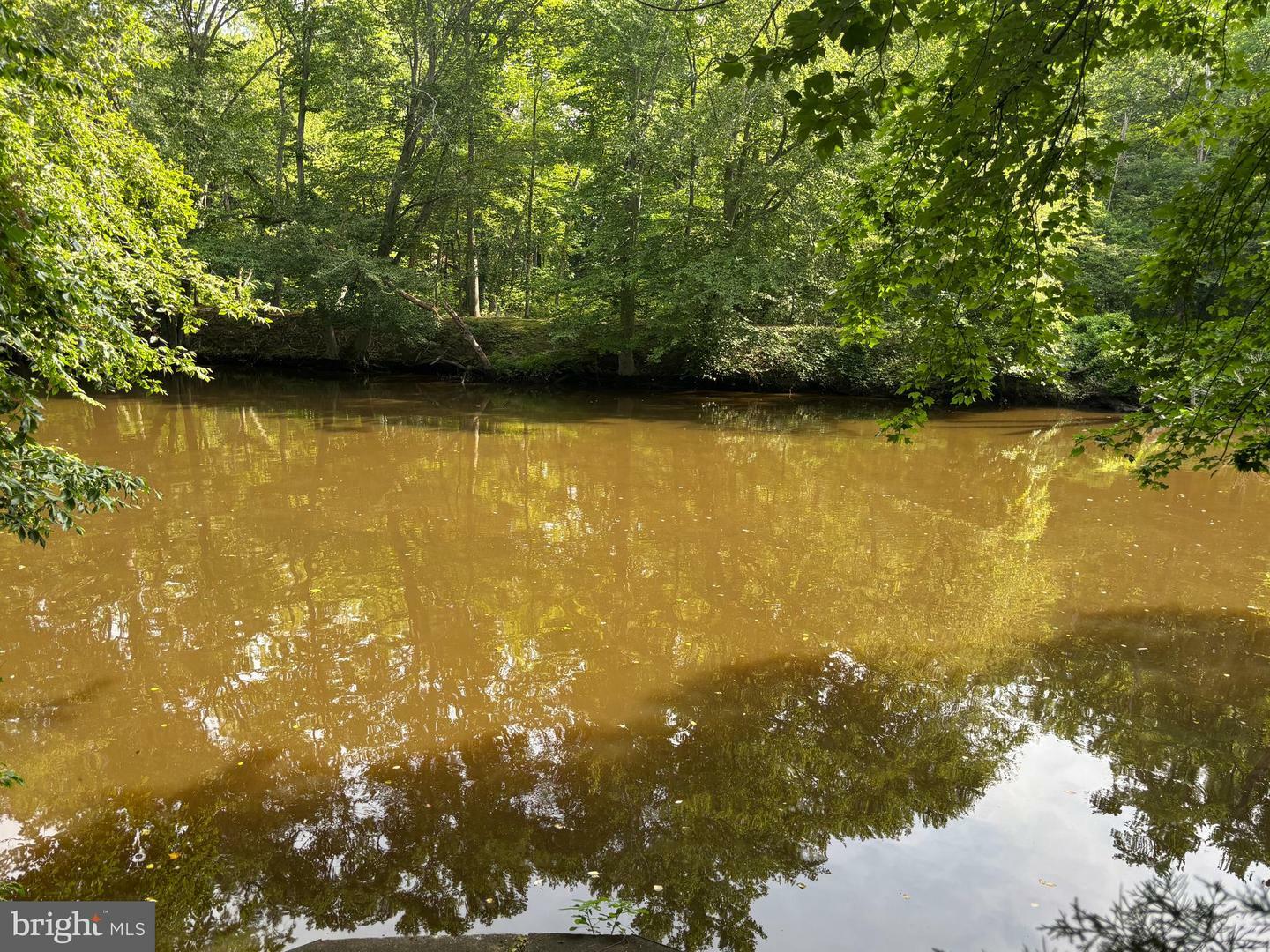 Property Photo: 504 Lime Landing Road MD 21651