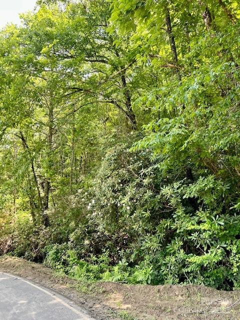 Property Photo: Lots P12-22 &Amp P12-23 Green River Cove Road 22 &Amp 23 NC 28773