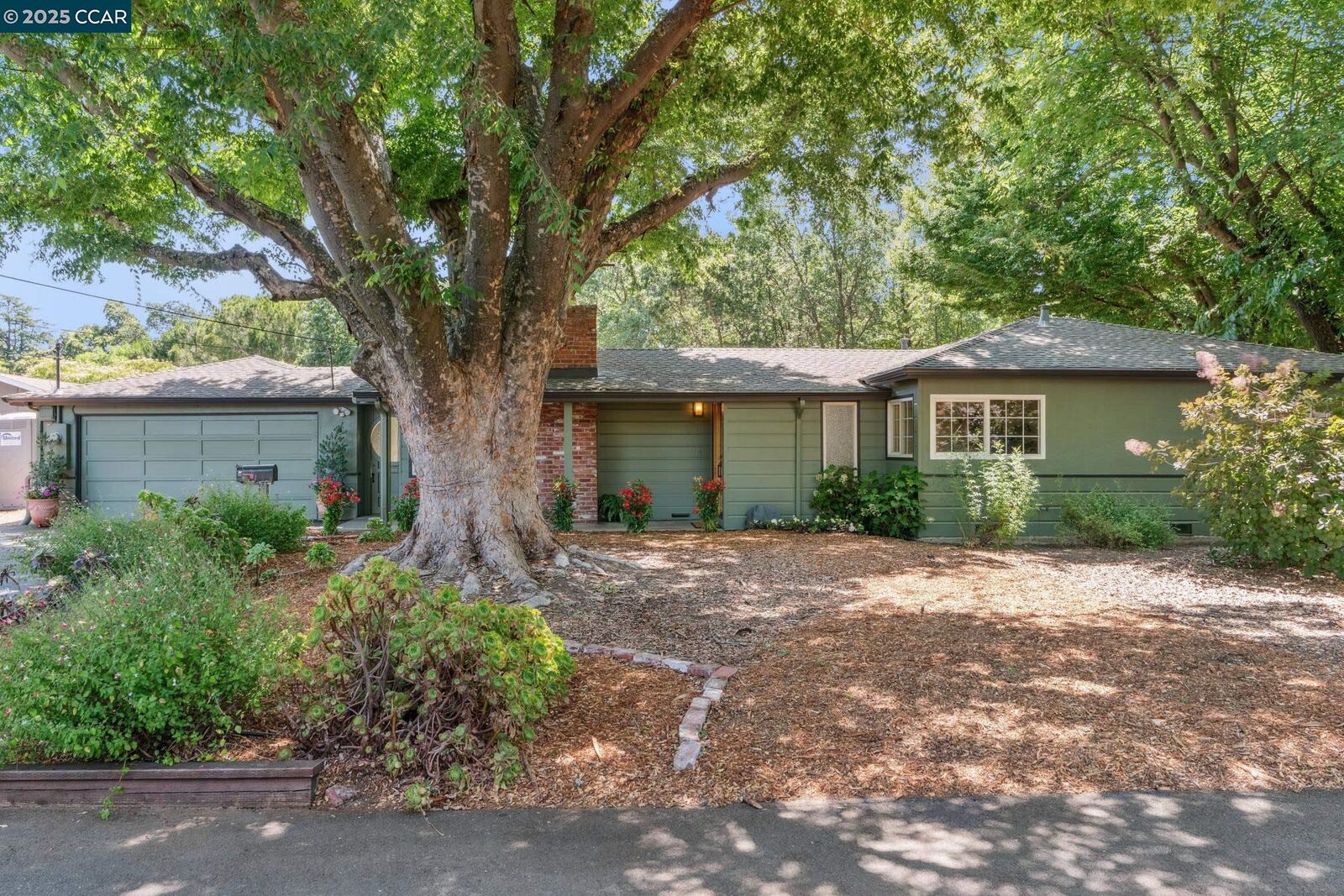 Property Photo: 41 Heather Ln CA 94597