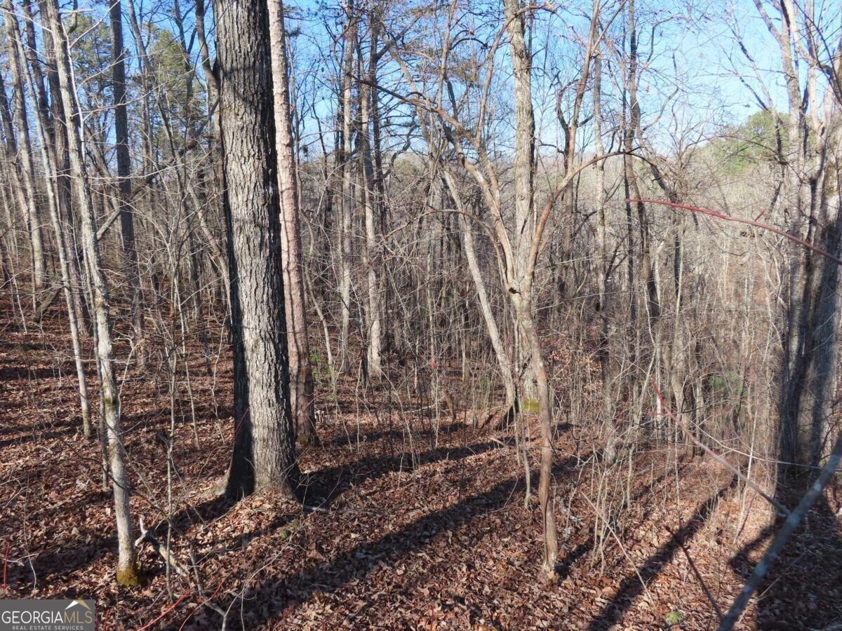 Property Photo: Lot 1906 Finale Street GA 30175