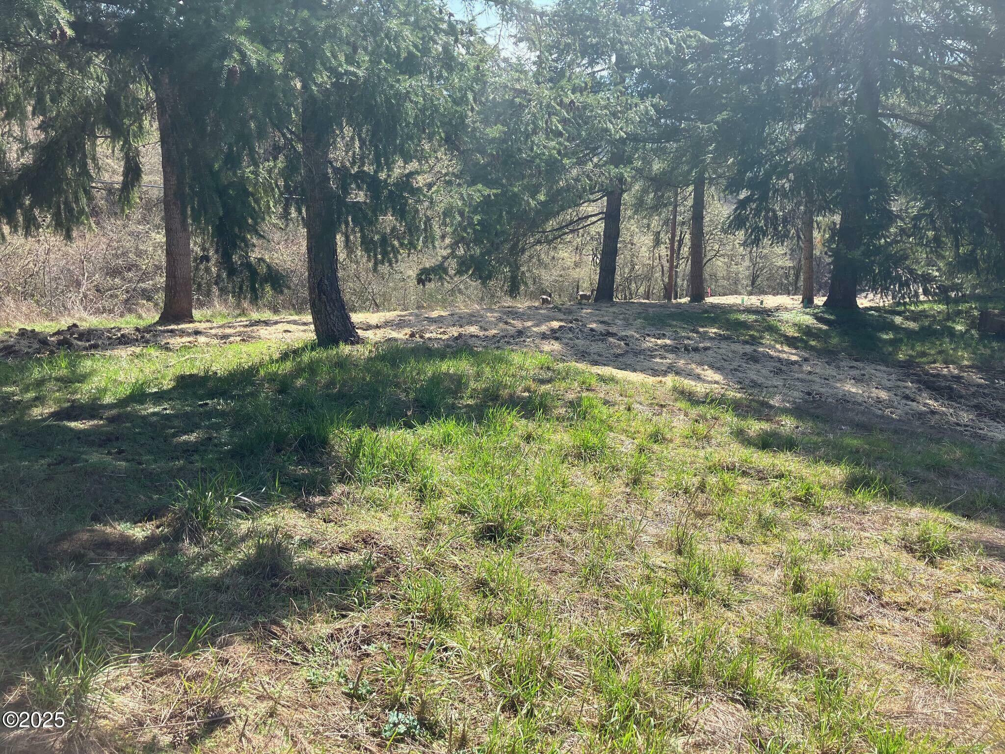 Property Photo:  1200 NE Center Street Parce#2  OR 97378 