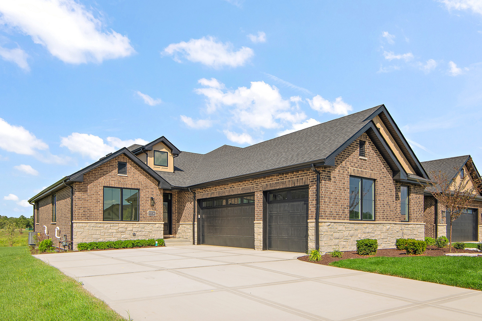 Property Photo: 11134 Lizmore Lane 29A IL 60467