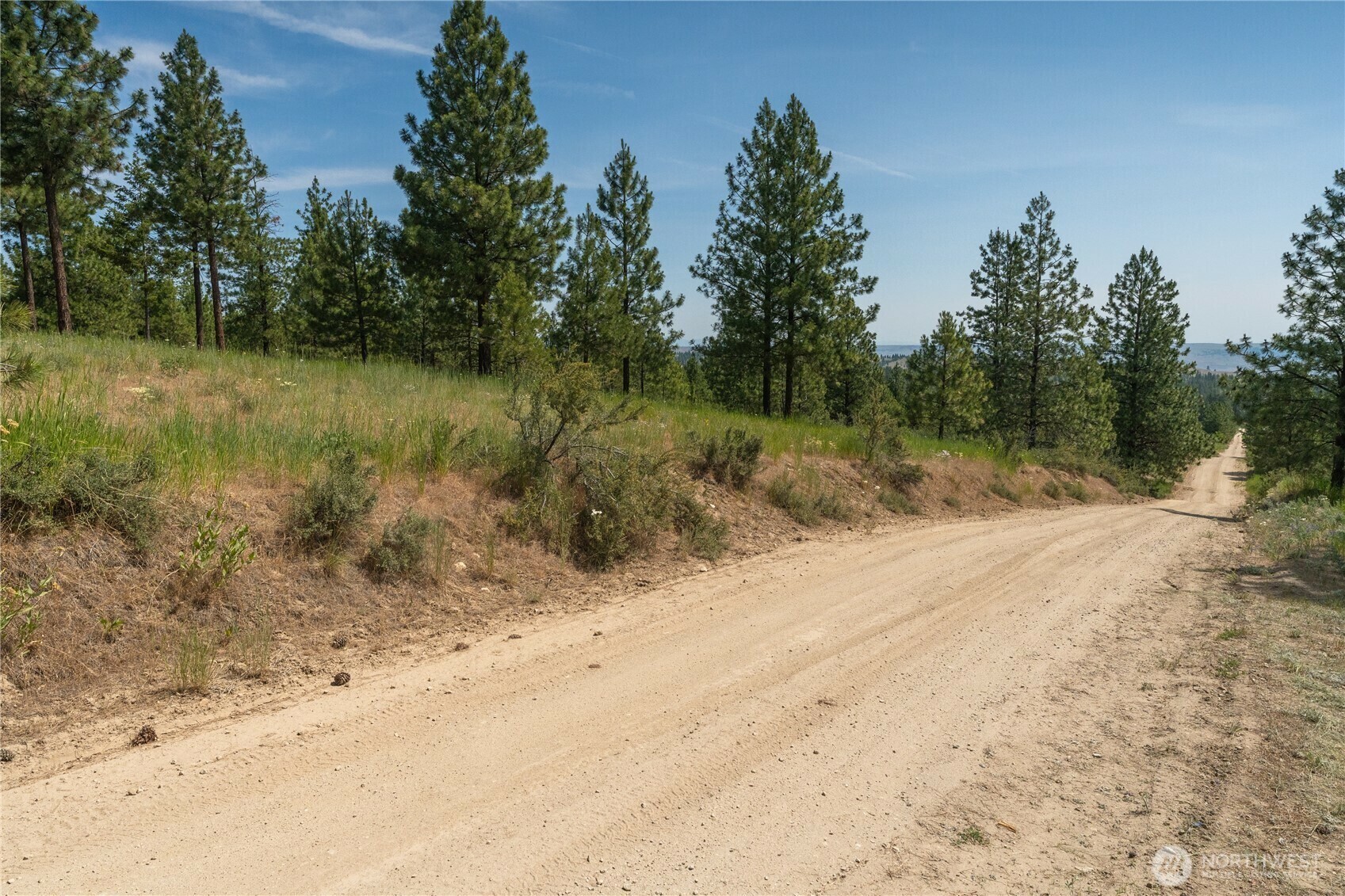 Property Photo: 0 Nhn Watson Lane WA 98816