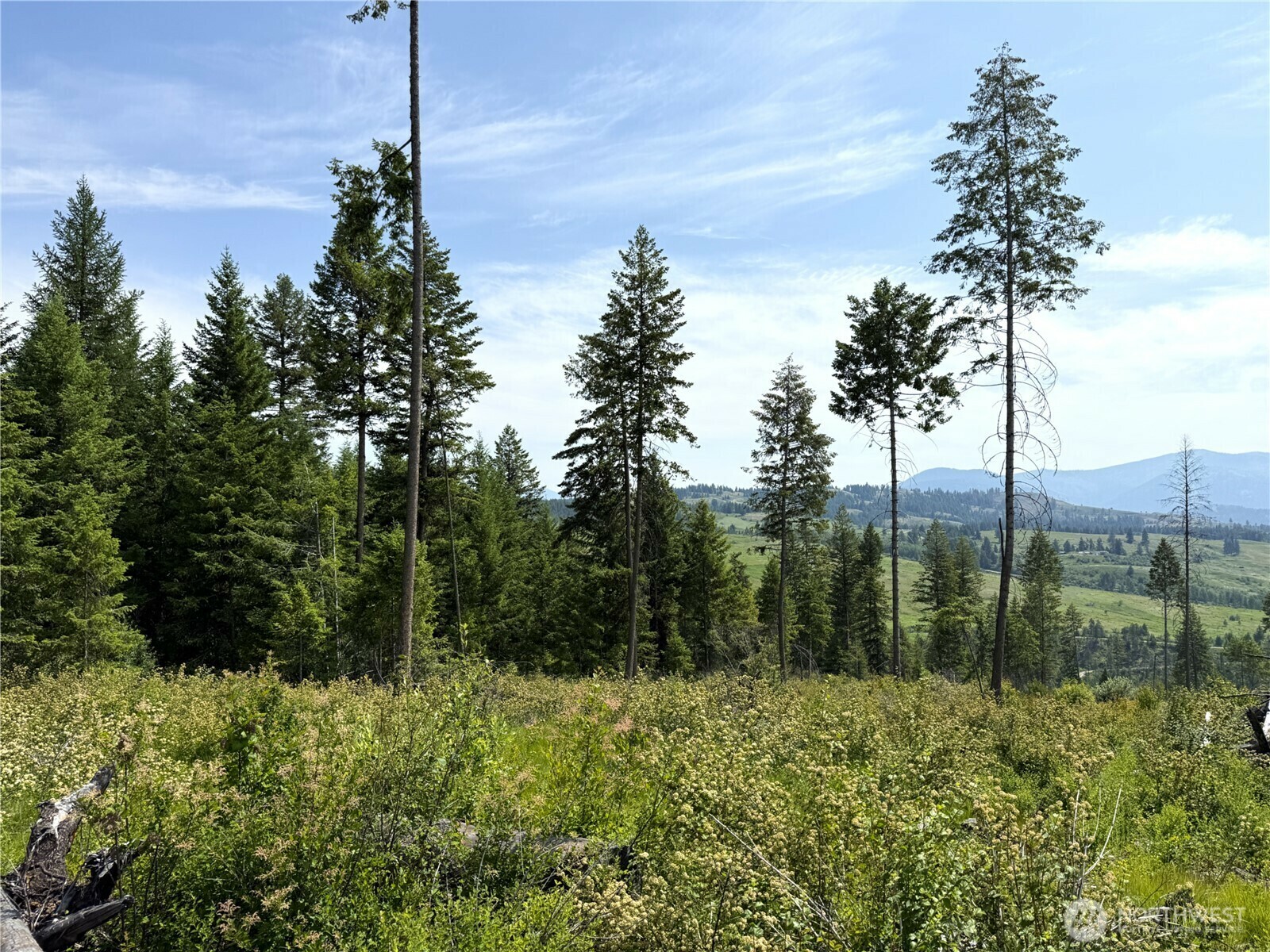Property Photo: 0 Rockabye Lane WA 99118